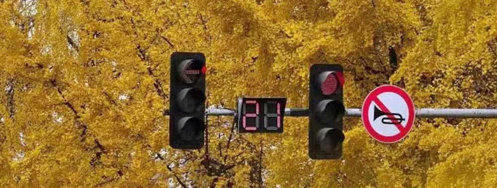 traffic light on sale